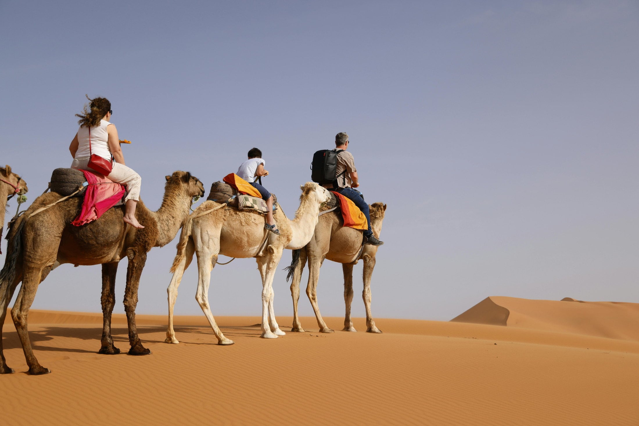Viajeros a lomos de dromedarios cruzando las dunas del Sahara marroquí