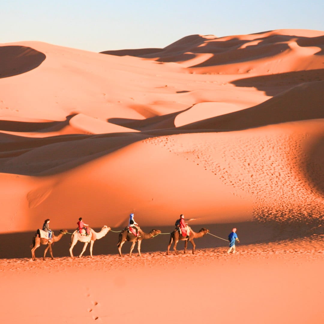 Caravana de dromedarios sobre las dunas de Merzouga al atardecer